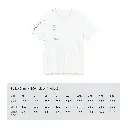 Size Charts.webp